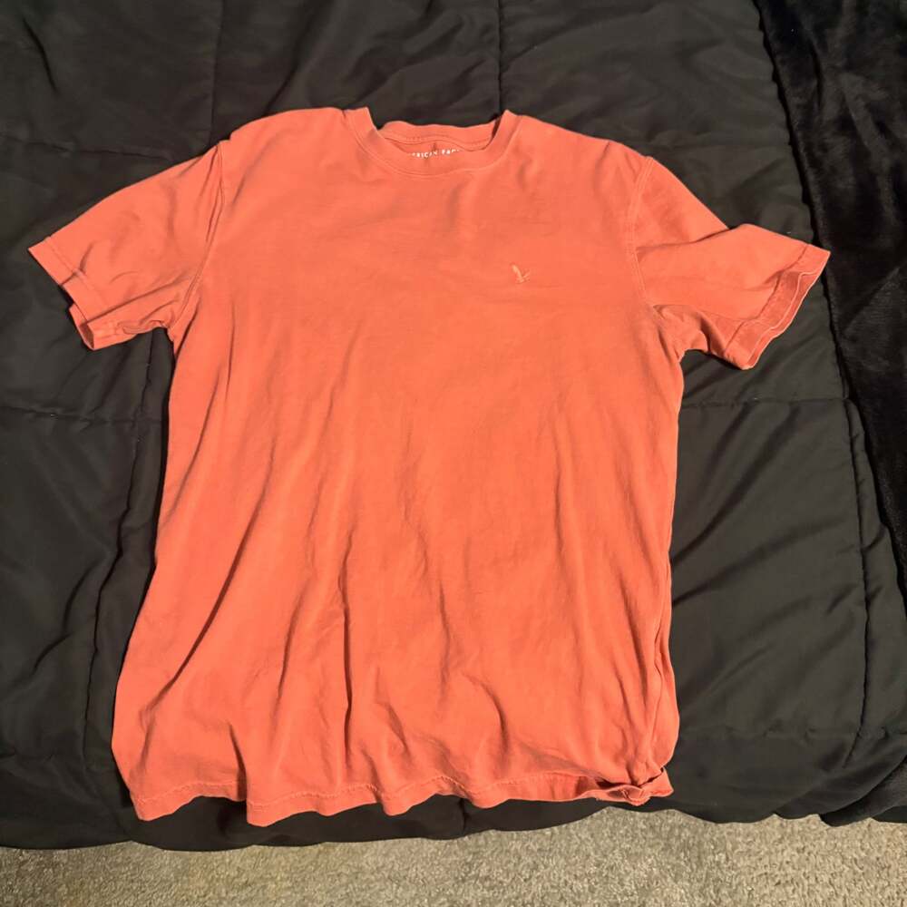 AE Embroidered T-Shirt
